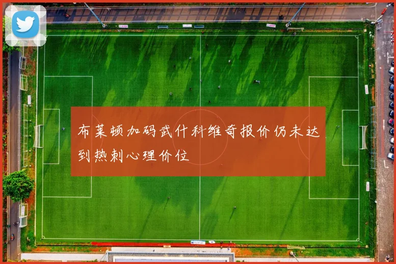 布莱顿加码武什科维奇报价仍未达到热刺心理价位